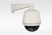 Dem-19 D85 / 1/4 SONY CCD